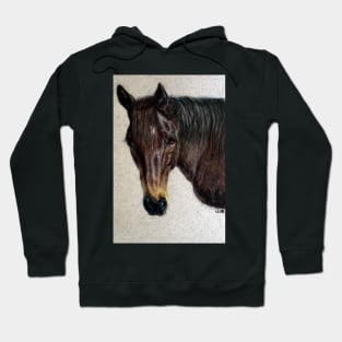 Dee - horse portrait Hoodie